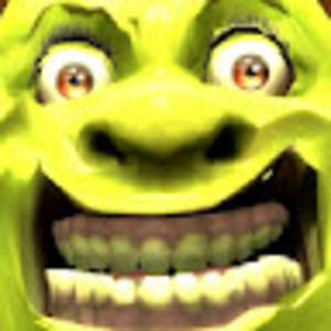 Meet your Posher, Paxton